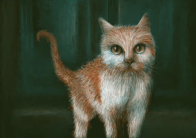 Imagem de um gato